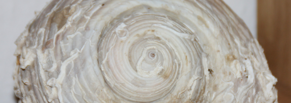 Beratungsstelle in Fulda