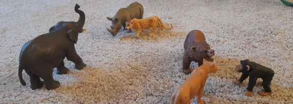 Beratungsstelle in Hanau