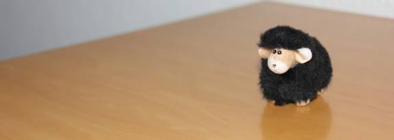 Beratungsstelle in Marburg