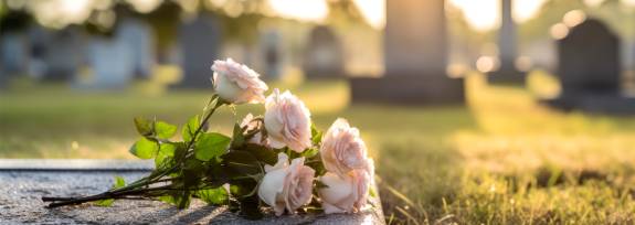 EFL-Beratung der Diözese Fulda